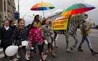 Zebra gibi boyanan atlarla Moskova'da trafik dersi
