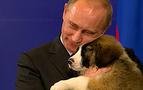 Putin'in köpeğine isim bulundu; Balkan