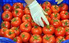 Rusya hükümetinden "Türkiye’den gelen gıdaların kontrollerini sıkılaştırın" talimatı