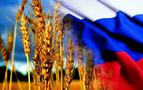 Rusya, sadece Temmuz ayında Türkiye’ye 1 milyon ton tahıl sattı