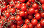 Rusya 20 ton domatesi Türkiye’ye geri gönderdi