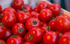Rusya, 39 ton Türk domatesini imha etti