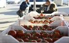 Rusya ambargosunun domates üreticilerine zararı 65 milyon dolar