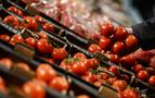 Rusya 23 ton domatesi Türkiye’ye geri gönderdi