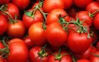 Rusya’da domates fiyatları hızla artmaya devam ediyor