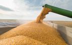 En büyük alıcısının Türkiye olduğu Rus buğdayının fiyatı Temmuz’da %11 arttı