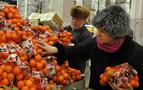 Rusya 24,5 ton mandalinayı Türkiye’ye iade etti