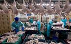 Türk firması Rusya'ya tavuk eti göndermeye başladı