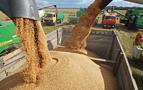 Rusya 104 milyon ton tahıl hasadı ile rekor kırdı