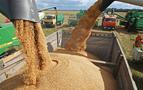 Rusya 105 milyon ton tahıl hasat etti, Türkiye hariç ihracat beklemede