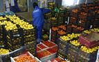 Rusya'ya meyve ve sebze ihracatında analiz kolaylığı geliyor