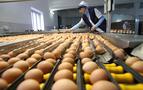 Rusya fırsatı yumurtayı yüzde 20 zamanlandırdı