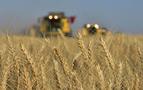 Türkiye, Rusya’dan tahıl alımını iki kat artırdı