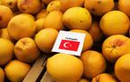 Rusya, Akdeniz Meyve Sineği tespit edilen 370 ton Türk mandalinasını geri yolladı