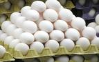 Rusya artan fiyatları dengelemek için Türk yumurtasına izin verdi