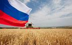 Rusya buğdaya uygulanan ihracat vergisini artırdı