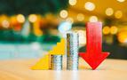 Rusya Merkez Bankası Faizi %17'ye İndirdi