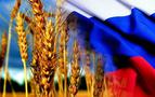 Rusya tahıl ihracat rekorlarını yeniledi, Türkiye ilk sırada