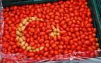 Rusya, Türkiye’ye uçuş yasağını uzattığı gün domates kotasını artırdı