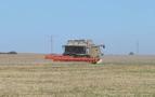 Rusya’da tahıl hasadında rekor: 147 milyon ton