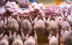 Rusya'da zam şampiyonu tavuk eti oldu: Bir yılda yüzde 22 zamlandı