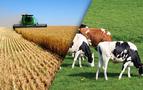 Rusya’nın tarım-hayvancılık ihracatı 45 milyar doları geçti