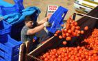 Rus ambargosunun meyve sebze ihracatına faturası 300 milyon dolar
