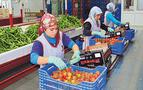 'Yaş meyve sebzede Türkiye, 1 milyar dolarlık Rus pazarını kaybetti'