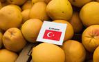 Mısır, Rusya’ya ihracatta Türkiye’nin yerini almak istiyor