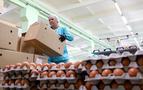 Türk yumurtaları Rusya’da satışa çıktı