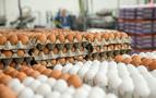 Türkiye, Rusya'ya yumurta tedarikine başladı