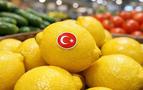 Türkiye'nin Rusya’ya Limon İhracatında Rekor Artış