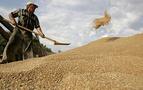 Rusya'nın Türkiye'ye buğday satmayacağı endişesi