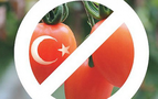 Çürüyen Türk domatesleri Putin’in Suriye kartını açtığını gösteriyor