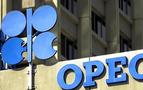 OPEC'ten Hangi Ülkeler Ayrıldı?