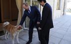 Putin’den Japon başbakanına “rüya köpek” sürprizi