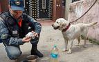 Rusya'da köpek 5 yaşındaki kızı öldürdü