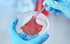 Rusya Laboratuvarda yapay et üretti, 2023’te restoranlarda