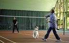 Medvedev ile Putin'in badminton maçında meşhur köpek 'Koni' hakemlik yaptı