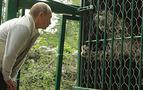 Putin, Leopar’ı uzaktan sevdi