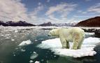 Rusya İklim Değişikliğine Uyum Planını onayladı