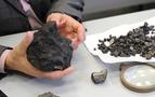 Rus bilim adamları 1 kilogram ağırlığında meteor parçası buldu