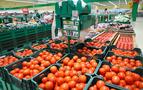 Rusya Tarım Bakanlığı: Türkiye’den domates alımının durdurulması önerisi titizlikle inclenmeli