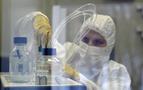 Putin, Zika virüsüne karşı aşı geliştirilmesi talimatı verdi