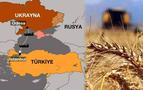 Erdoğan, tahıl anlaşmasının devamı için Moskova ve Kiev’le görüşüyor