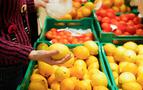 Rusya, bir Türk firmasından limon ithalatı durdurdu