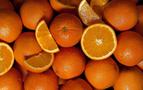 Rusya, bu sefer 37 ton portakalı Türkiye’ye iade etti