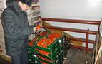 Türkiye’den gelen 54 ton sebze ve meyve Rusya’ya sokulmadı