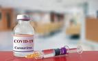 Türkiye: Rusya'yla karşılıklı aşı denemeleri için anlaştık