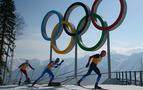 Rusya'da doping skandalı: WADA, Soçi Kış Olimpiyatları'nın doping testlerini istedi